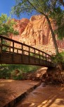 Fruita